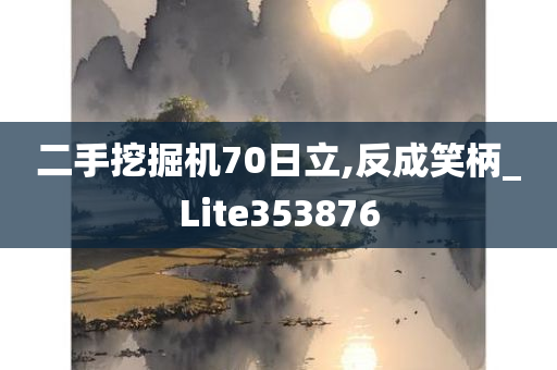 二手挖掘机70日立,反成笑柄_Lite353876