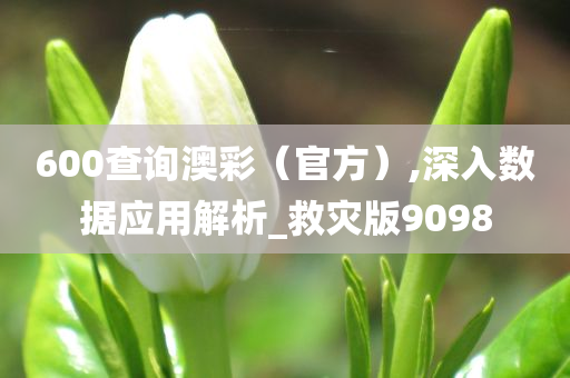 600查询澳彩（官方）,深入数据应用解析_救灾版9098