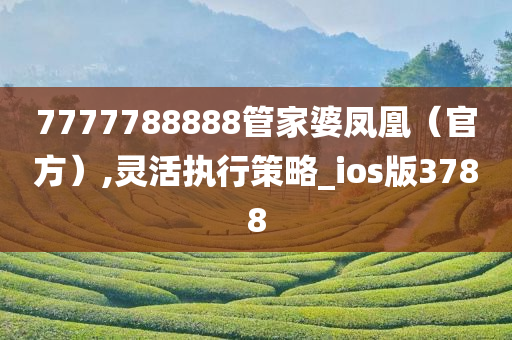 7777788888管家婆凤凰（官方）,灵活执行策略_ios版3788