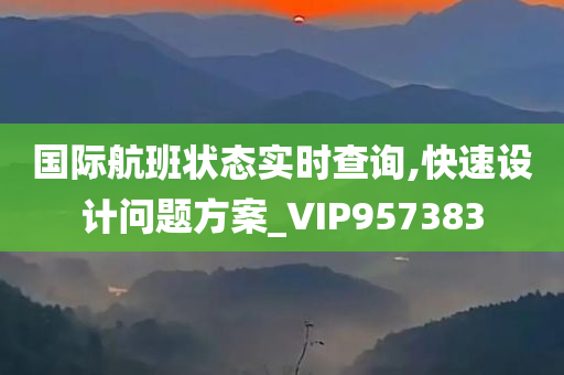 国际航班状态实时查询,快速设计问题方案_VIP957383