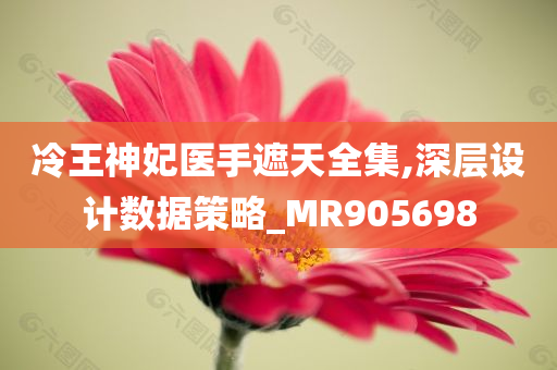 冷王神妃医手遮天全集,深层设计数据策略_MR905698