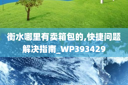 衡水哪里有卖箱包的,快捷问题解决指南_WP393429