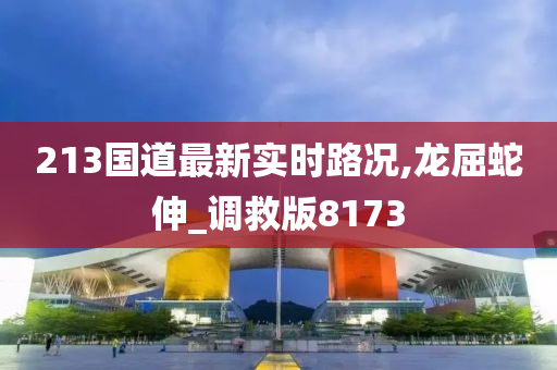 213国道最新实时路况,龙屈蛇伸_调救版8173