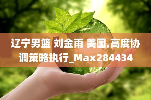 辽宁男篮 刘金雨 美国,高度协调策略执行_Max284434