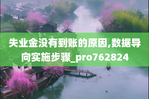 失业金没有到账的原因,数据导向实施步骤_pro762824