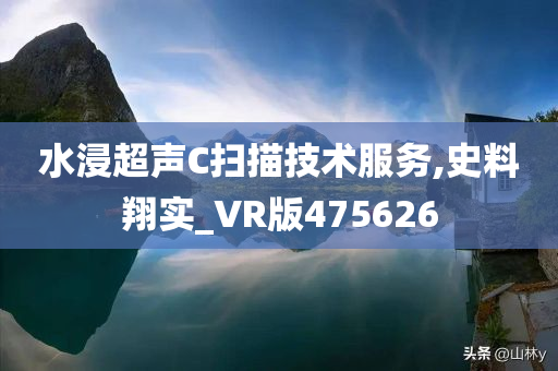 水浸超声C扫描技术服务,史料翔实_VR版475626