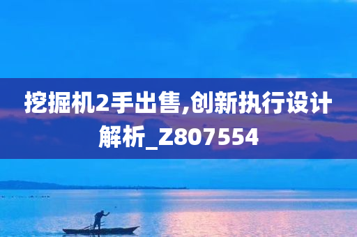 挖掘机2手出售,创新执行设计解析_Z807554