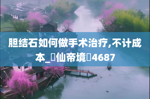 胆结石如何做手术治疗,不计成本_‌仙帝境‌4687