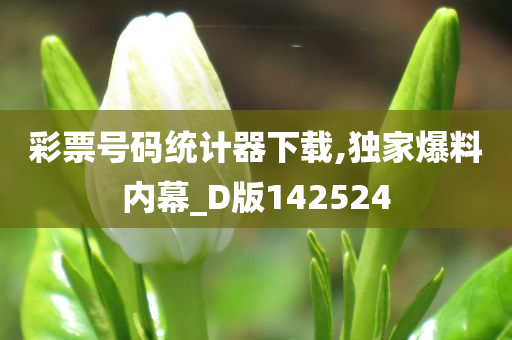 彩票号码统计器下载,独家爆料内幕_D版142524