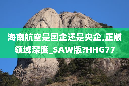 海南航空是国企还是央企,正版领域深度_SAW版?HHG77