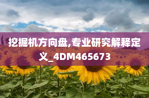 挖掘机方向盘,专业研究解释定义_4DM465673