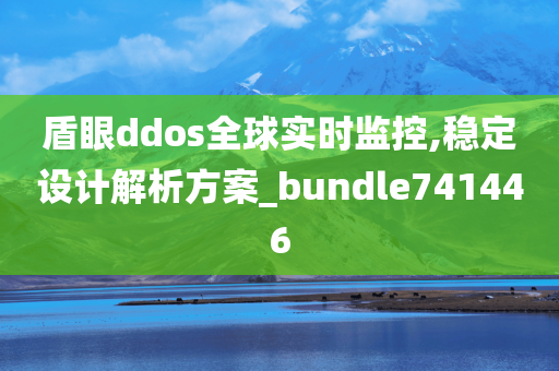 盾眼ddos全球实时监控,稳定设计解析方案_bundle741446