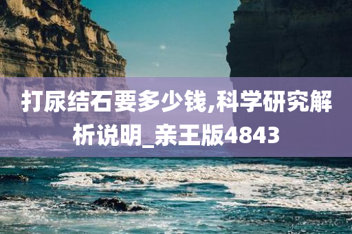 打尿结石要多少钱,科学研究解析说明_亲王版4843