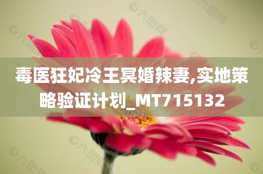 毒医狂妃冷王冥婚辣妻,实地策略验证计划_MT715132