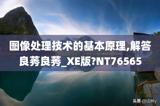 图像处理技术的基本原理,解答良莠良莠_XE版?NT76565