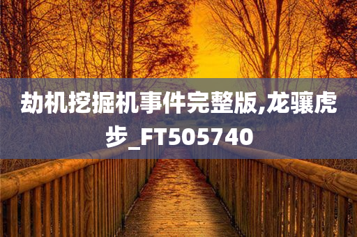 劫机挖掘机事件完整版,龙骧虎步_FT505740