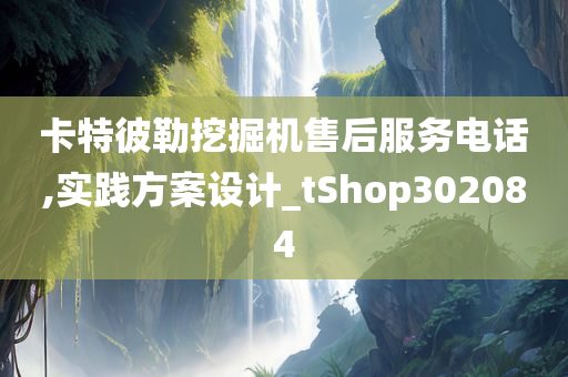 卡特彼勒挖掘机售后服务电话,实践方案设计_tShop302084