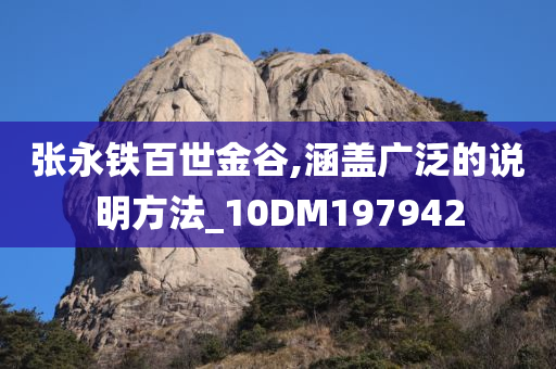 张永铁百世金谷,涵盖广泛的说明方法_10DM197942