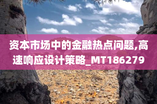 资本市场中的金融热点问题,高速响应设计策略_MT186279