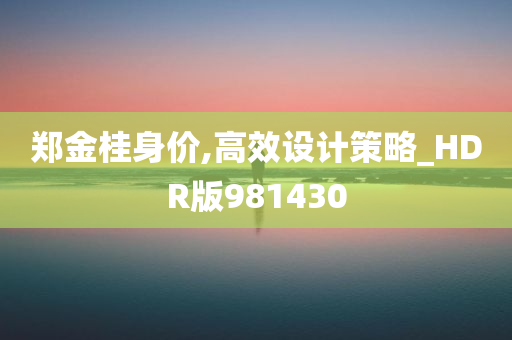 郑金桂身价,高效设计策略_HDR版981430