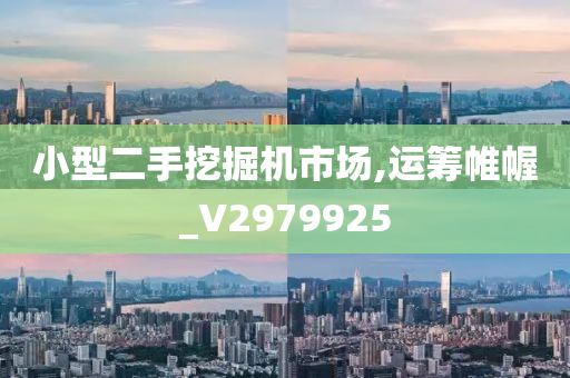 小型二手挖掘机市场,运筹帷幄_V2979925