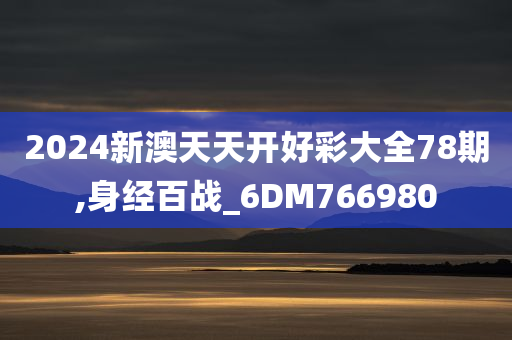 2024新澳天天开好彩大全78期,身经百战_6DM766980