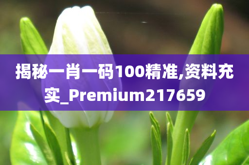 揭秘一肖一码100精准,资料充实_Premium217659