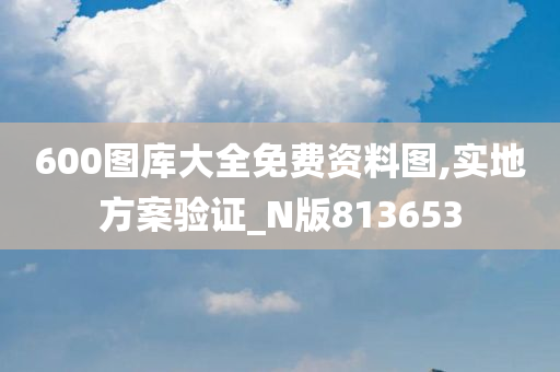 600图库大全免费资料图,实地方案验证_N版813653