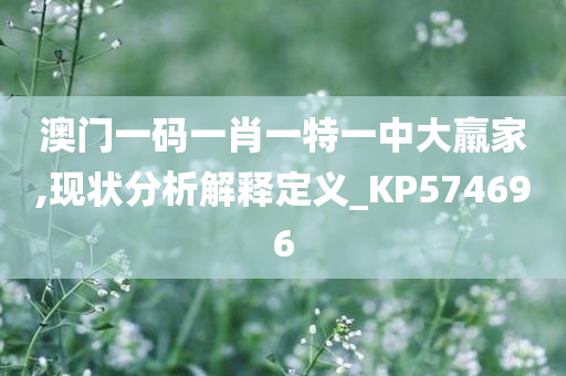 澳门一码一肖一特一中大羸家,现状分析解释定义_KP574696