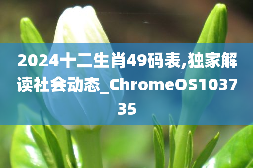 2024十二生肖49码表,独家解读社会动态_ChromeOS103735