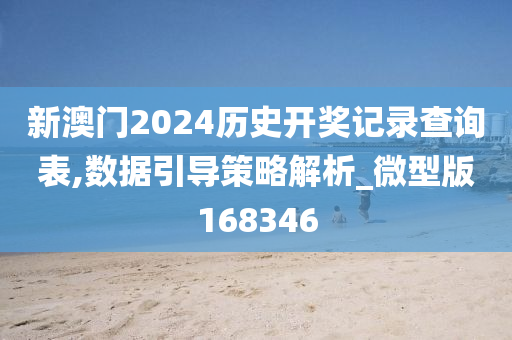 新澳门2024历史开奖记录查询表,数据引导策略解析_微型版168346