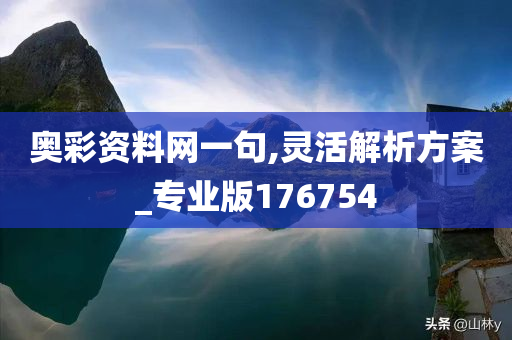 奥彩资料网一句,灵活解析方案_专业版176754