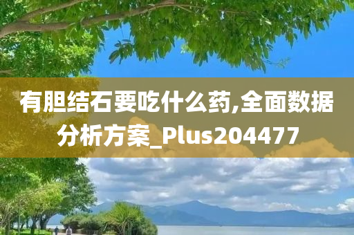 有胆结石要吃什么药,全面数据分析方案_Plus204477