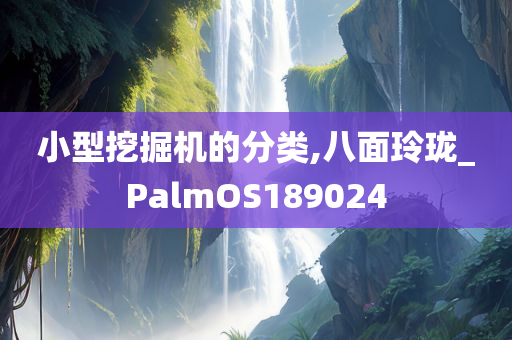 小型挖掘机的分类,八面玲珑_PalmOS189024