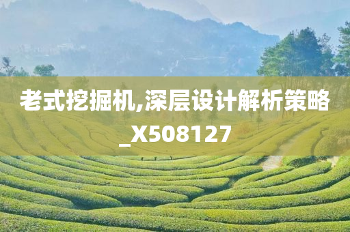 老式挖掘机,深层设计解析策略_X508127