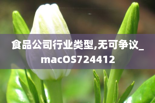 食品公司行业类型,无可争议_macOS724412