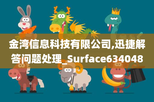 金湾信息科技有限公司,迅捷解答问题处理_Surface634048