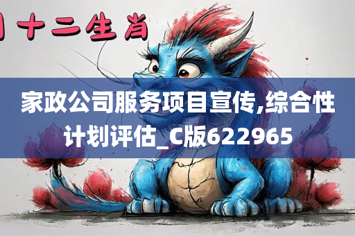 家政公司服务项目宣传,综合性计划评估_C版622965