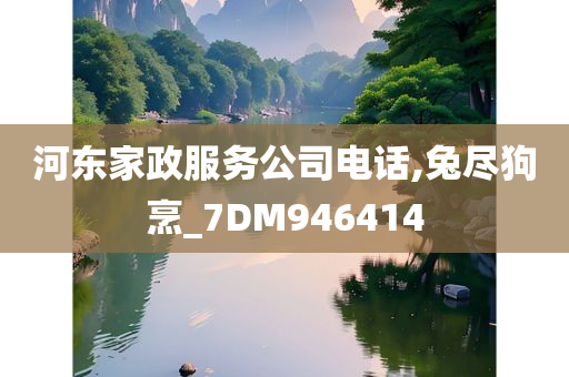 河东家政服务公司电话,兔尽狗烹_7DM946414