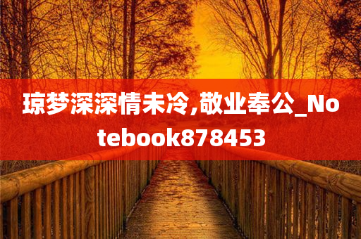 琼梦深深情未冷,敬业奉公_Notebook878453