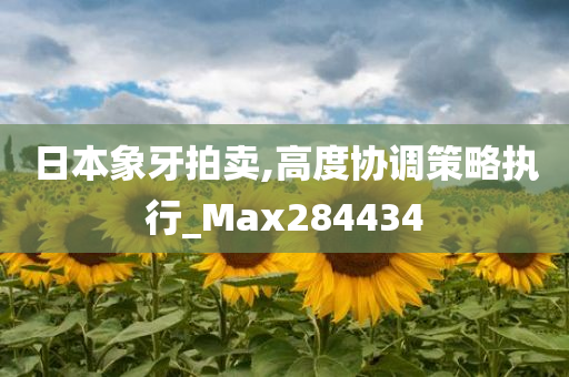 日本象牙拍卖,高度协调策略执行_Max284434