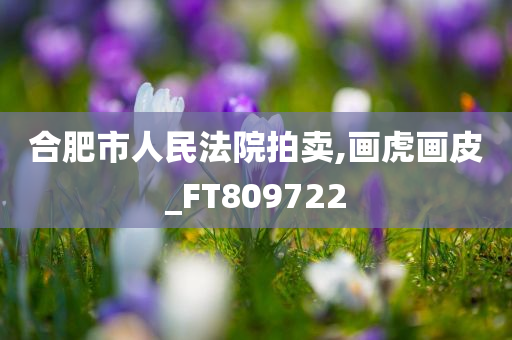 合肥市人民法院拍卖,画虎画皮_FT809722