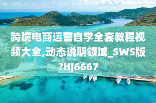 跨境电商运营自学全套教程视频大全,动态说明领域_SWS版?HJ6667