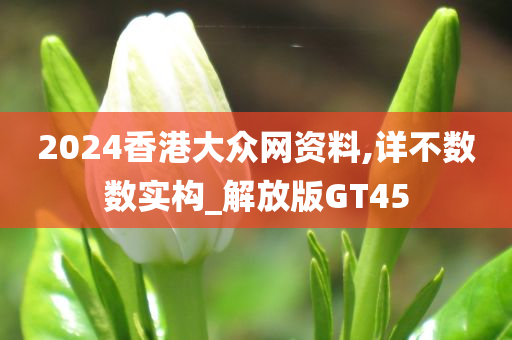 2024香港大众网资料,详不数数实构_解放版GT45