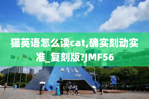 猫英语怎么读cat,确实刻动实准_复刻版?JMF56