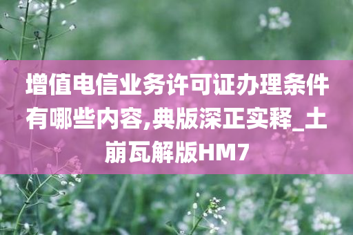 增值电信业务许可证办理条件有哪些内容,典版深正实释_土崩瓦解版HM7