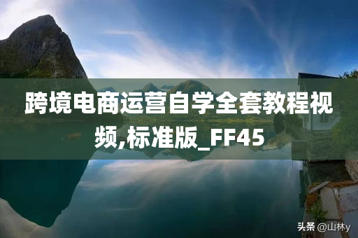 跨境电商运营自学全套教程视频,标准版_FF45