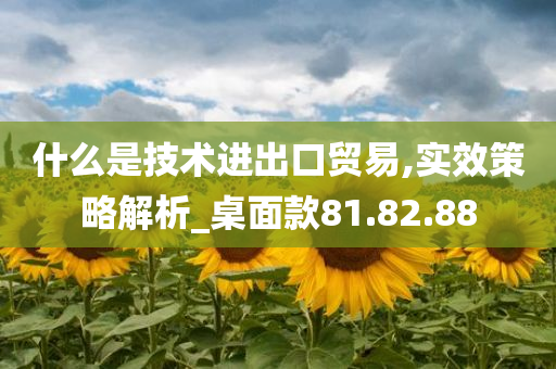 什么是技术进出口贸易,实效策略解析_桌面款81.82.88