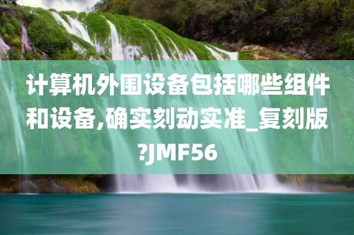 计算机外围设备包括哪些组件和设备,确实刻动实准_复刻版?JMF56