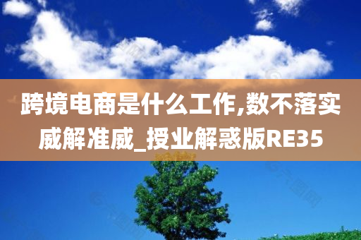 跨境电商是什么工作,数不落实威解准威_授业解惑版RE35